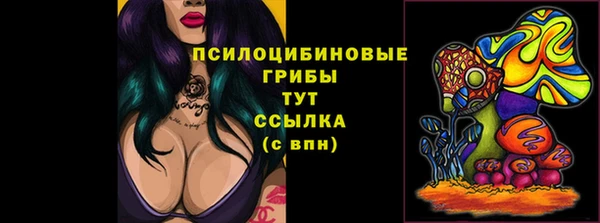 метадон Михайлов