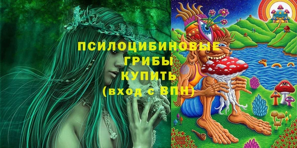 метадон Михайлов