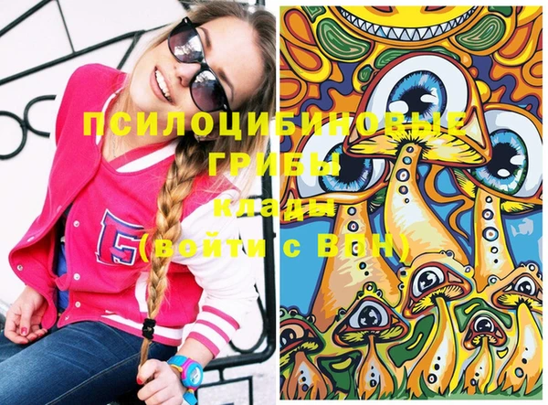 метадон Михайлов